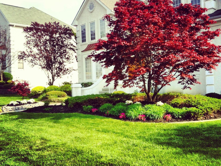 Meridian Earthworks Home